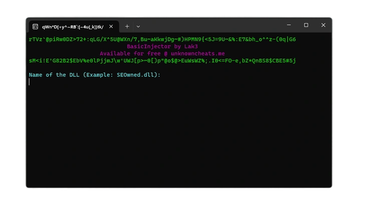 Basic Injector software interface