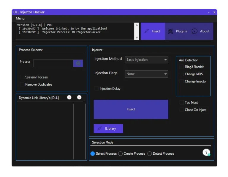 dll injector hacker pro software interface