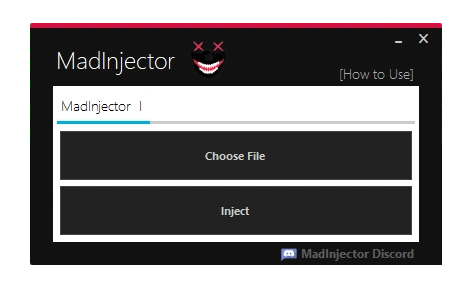 madinjector software interface