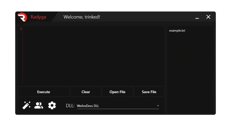 radyga roblox injector software interface