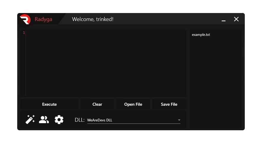 radyga roblox injector software interface